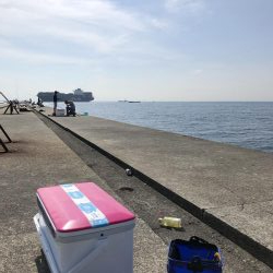 あおものを釣りに。。