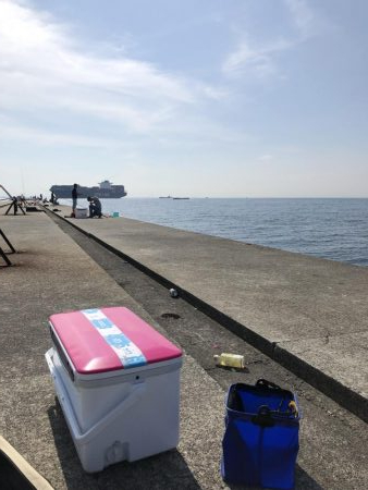 あおものを釣りに。。