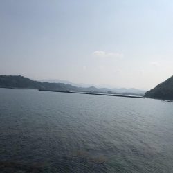 ようやく釣れました。