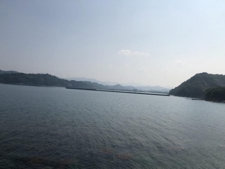 ようやく釣れました。