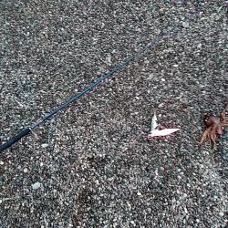 タコ釣りです!!