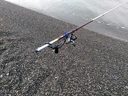 二日連続でアオリイカ釣れました!!