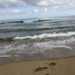 寝ても覚めてもマゴチ