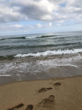 寝ても覚めてもマゴチ