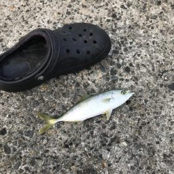 モジャ公とゆかいな仲間たち