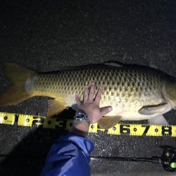 びっくりした。。