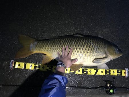 びっくりした。。