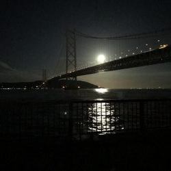 舞子  夜サバボウズ