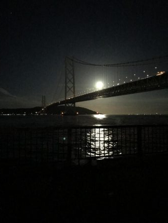 舞子  夜サバボウズ