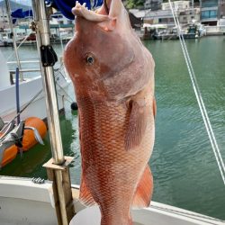 久しぶりの地元からの釣行