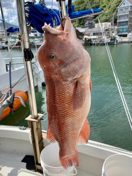 久しぶりの地元からの釣行