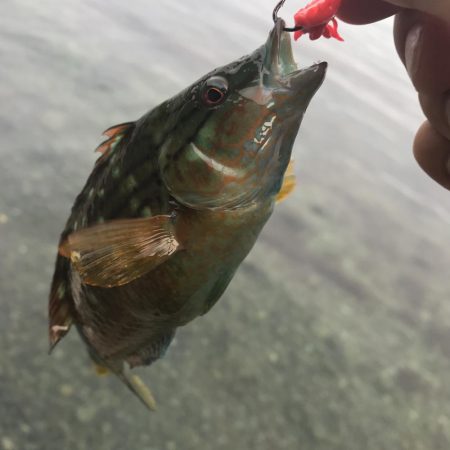 なんとか一杯。