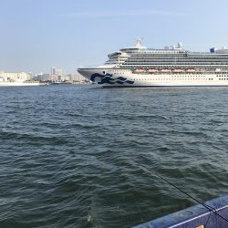 神戸港ツバス・モジャコ