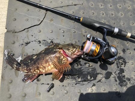 ショアジギとライトゲーム