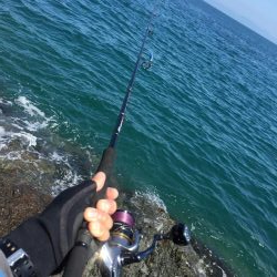 シーバスタックル ブンブン