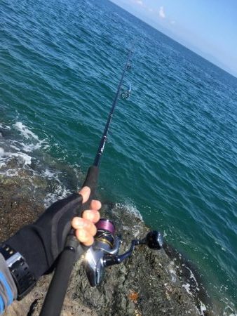 シーバスタックル ブンブン