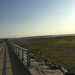 検見川浜の突堤にて