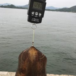 約1年半ぶりの投稿