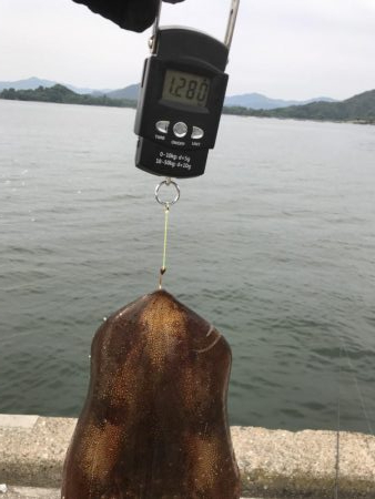 約1年半ぶりの投稿