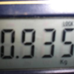 令和最重量のたこ