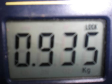 令和最重量のたこ