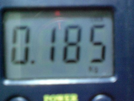 タコ居ました。