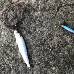 ジグサビキ=爆釣