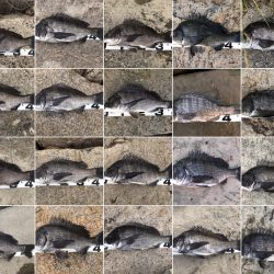 イチノ兄弟、釣果！