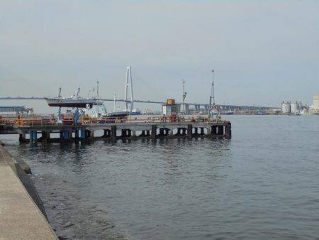 クロダイ遠くギマ登場