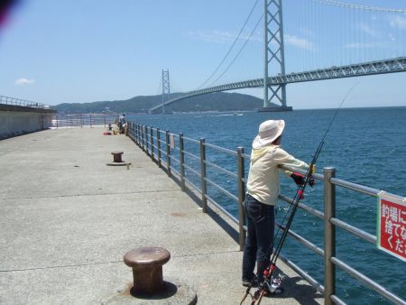 今期初サヨリは良型が連発