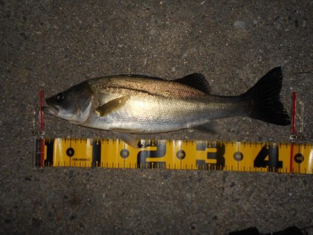 状況に応じて狙い分ける