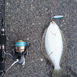 朝マズメショアジギング