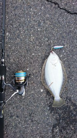 朝マズメショアジギング