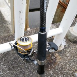 久しぶりの釣果はブリの・・・