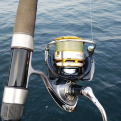 今日はツバス狙い