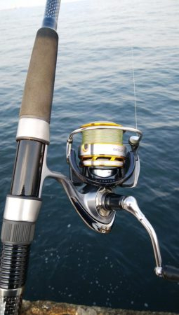 今日はツバス狙い