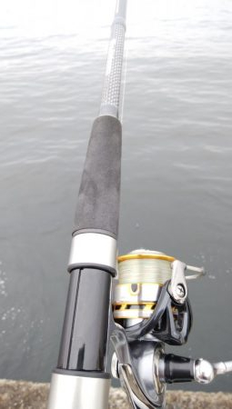 今日もツバス釣り