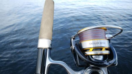 ツバス&ブリ狙い釣行