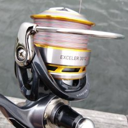 シーサイドコスモでツバス