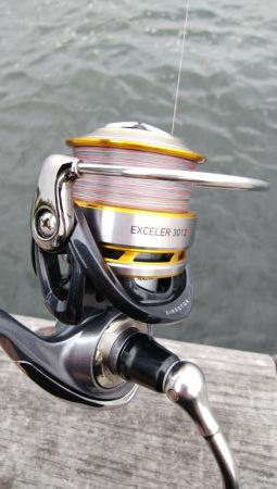 シーサイドコスモでツバス