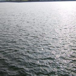 今日は一転シブい