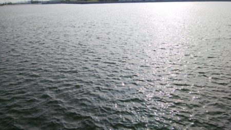 今日は一転シブい