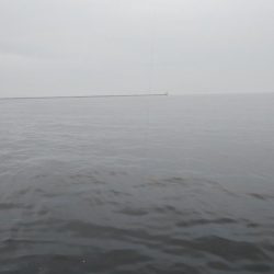 雨降る前にツバス釣り