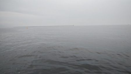 雨降る前にツバス釣り