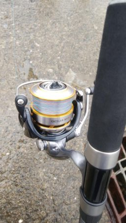 今日はシブイしバラシも多かった