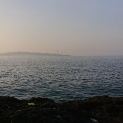 ガシラとコロッケ