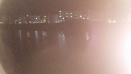 ナイトルアーフィッシング　シーバス