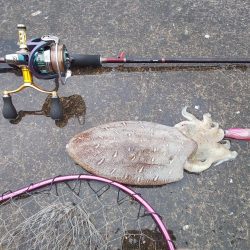 天気予報が大きく外れ