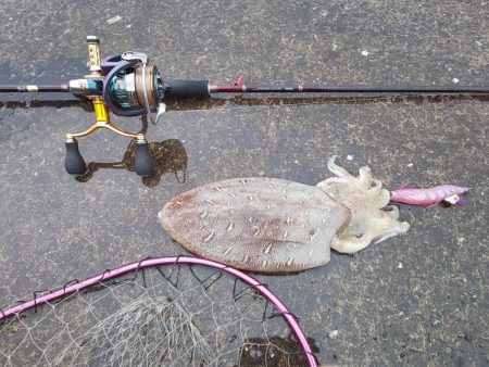 天気予報が大きく外れ