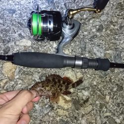 谷八木海岸・ガシリング